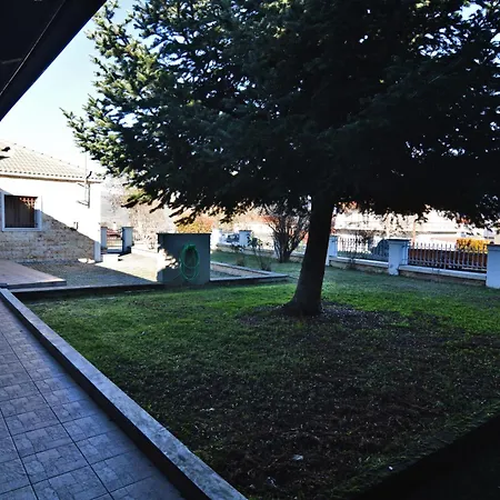 Signora Despina's Kastoria